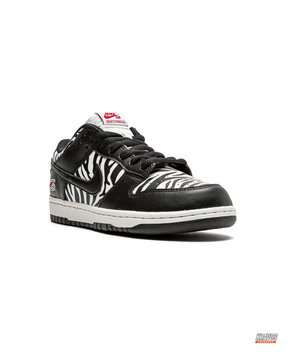 NK Leather Zebra-Print Skate Low