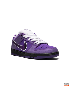 NK Suede Iridescent-Swoosh Skate Trainer
