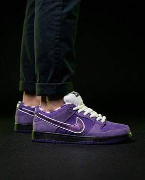 NK Suede Iridescent-Swoosh Skate Trainer