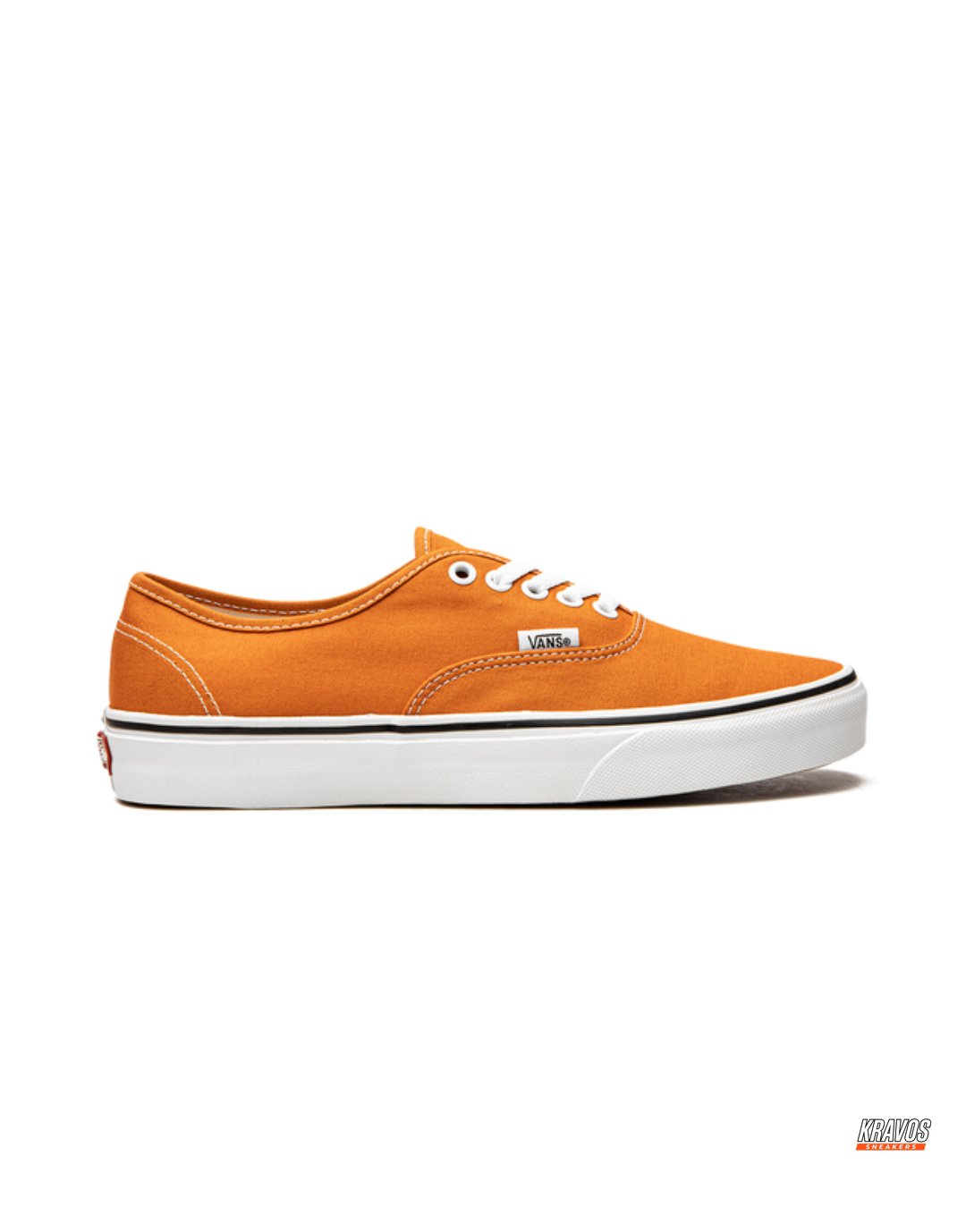 VNS Canvas Vulcanised Skate Low