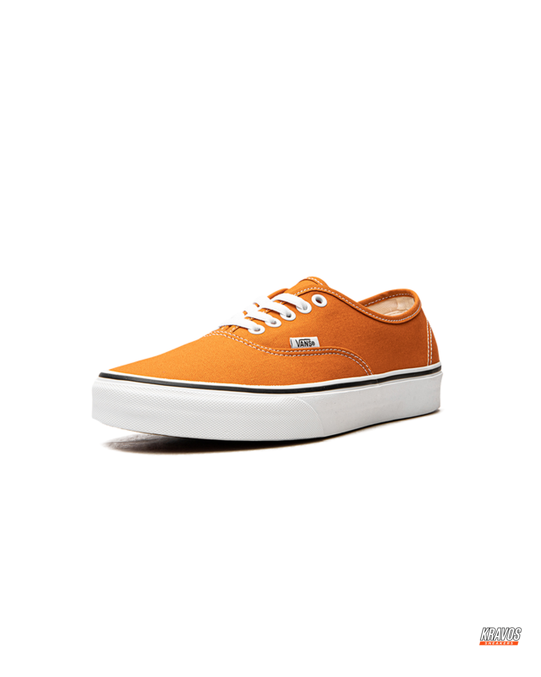 VNS Canvas Vulcanised Skate Low