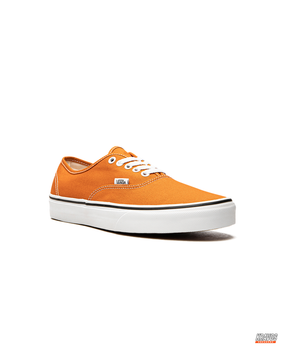 VNS Canvas Vulcanised Skate Low