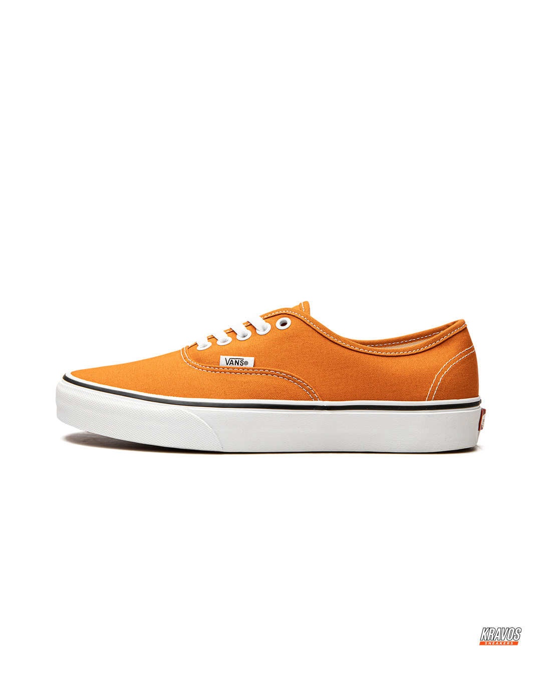 VNS Canvas Vulcanised Skate Low