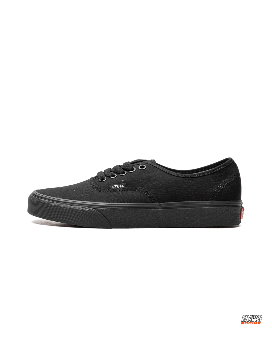 VNS Canvas Vulcanised Skate Low