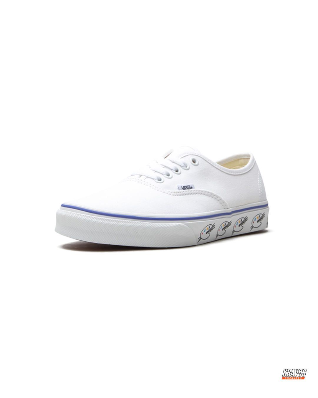 VNS Canvas Vulcanised Skate Low