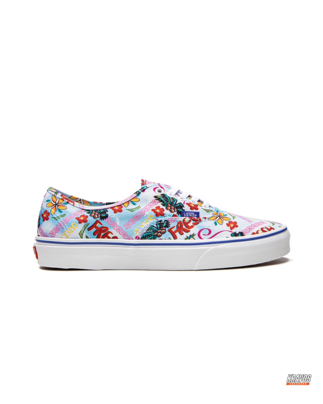 VNS Canvas Vulcanised Skate Low
