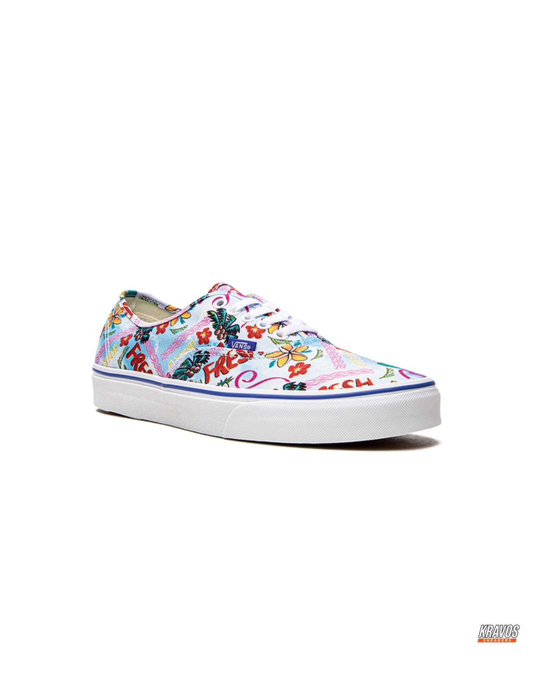 VNS Canvas Vulcanised Skate Low